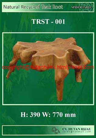 RB - TRST - 001 - Natural Teak Root Spider Table