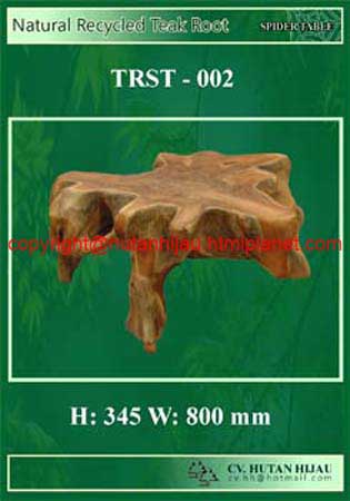 RB - TRST - 002 - Natural Teak Root Spider Table