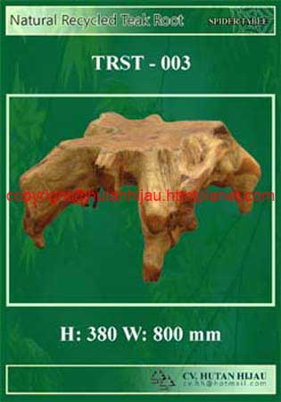 RB - TRST - 003 - Natural Teak Root Spider Table