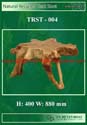 RB - TRST - 004 - Natural Teak Root Spider Table